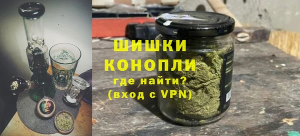 шишки Бородино